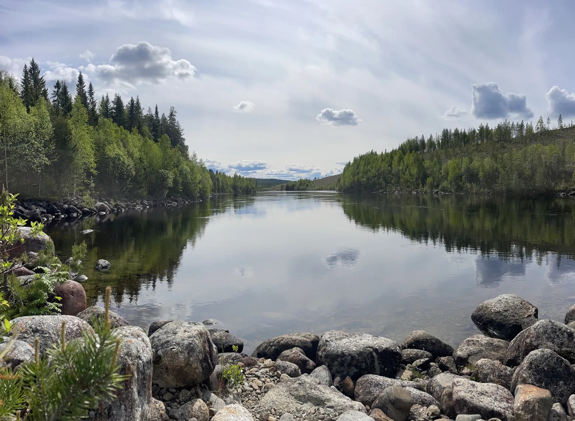 Rivière et forêt autour de Gafsele