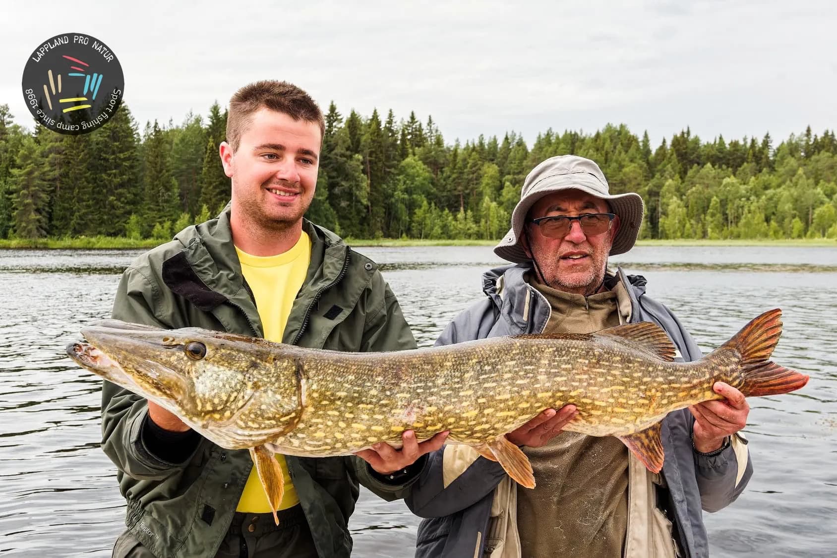 Très gros brochet de Laponie suédoise