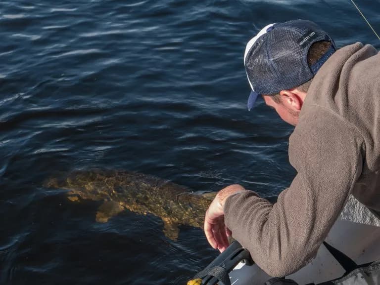 Pêcheur qui relâche un gros poisson